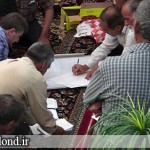 اولین مجمع عمومی شرکت تعاونی توسعه روستایی بیلند چهارشنبه شب مورخ 7 مرداد ماه94 با حضور سهامداران و و تعدادی از مسئولین برگزار شد.