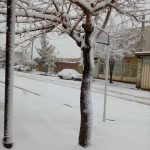 تصاویر اولین روز برفی زمستان 98 در بیلند