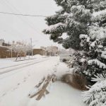 تصاویر اولین روز برفی زمستان 98 در بیلند