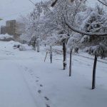 تصاویر اولین روز برفی زمستان 98 در بیلند