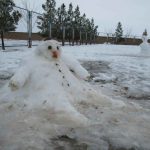 تصاویر اولین روز برفی زمستان 98 در بیلند