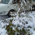 تصاویر اولین روز برفی زمستان 98 در بیلند